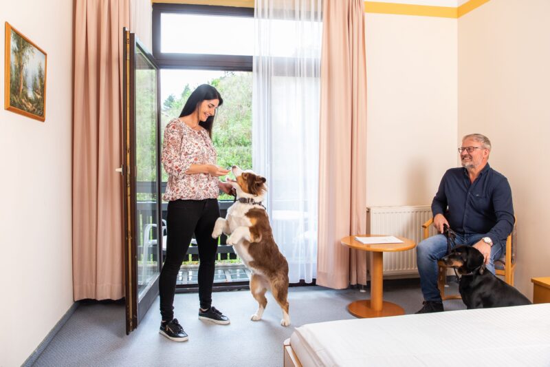 Kur mit hund im zimmer in salzerbad, niederösterreich