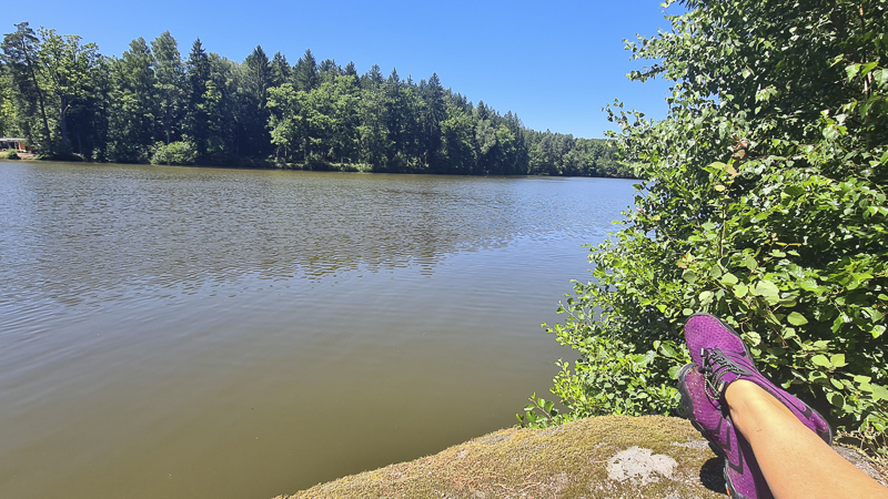 am herrenteich in litschau mit der waldviertelbahn