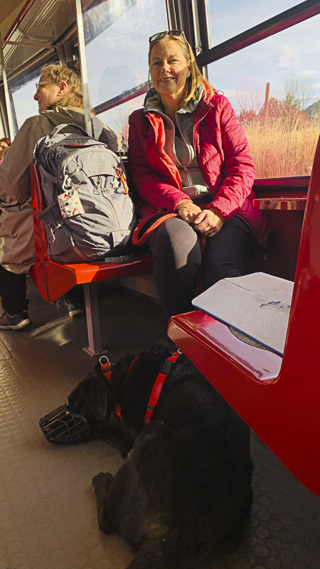 mit hund und maulkorb in der schneebergbahn