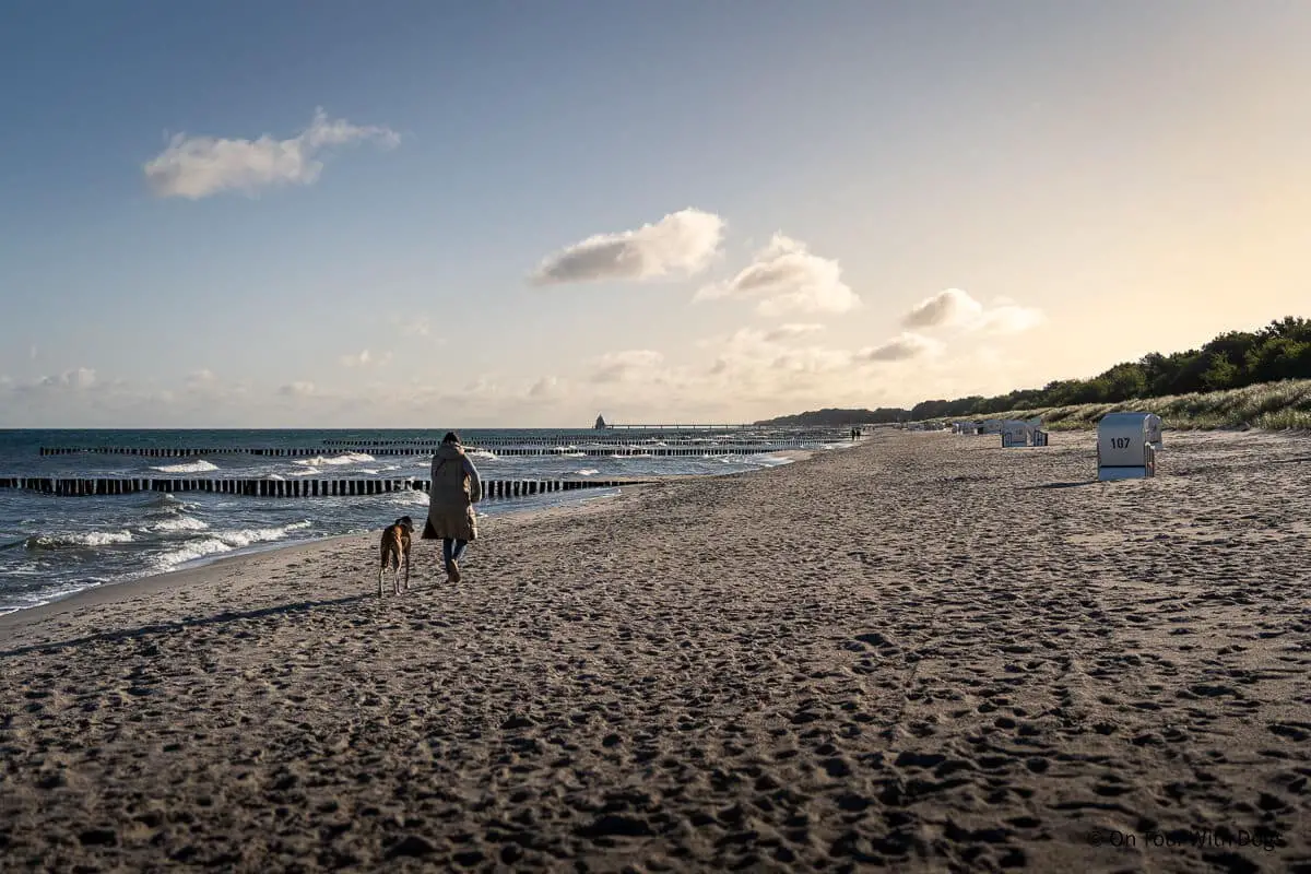 hundestrand zingst west sina dieterle mit hund