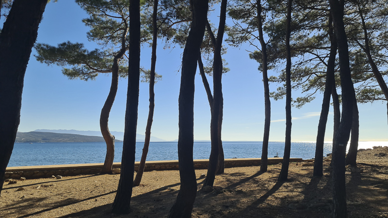 camping jezevac westlich wald winter