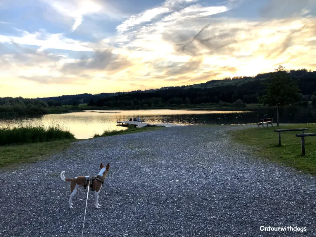 Camping und WOMO Stellplatz Grüntensee mit Hund