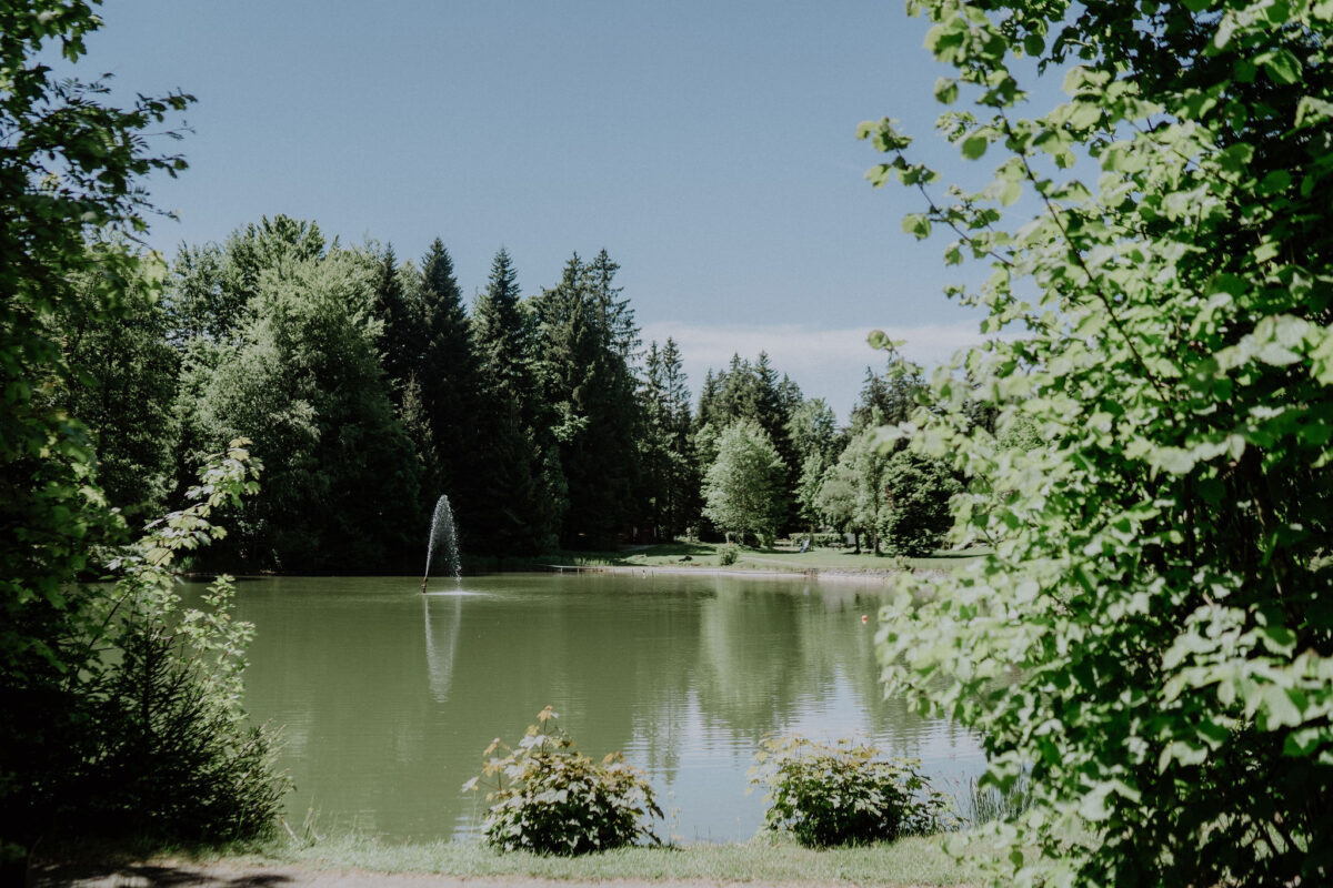 camping weiher waldbad isny