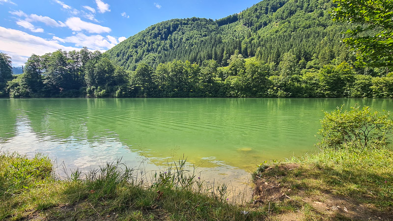 Stausee Klaus mit Hund Baden