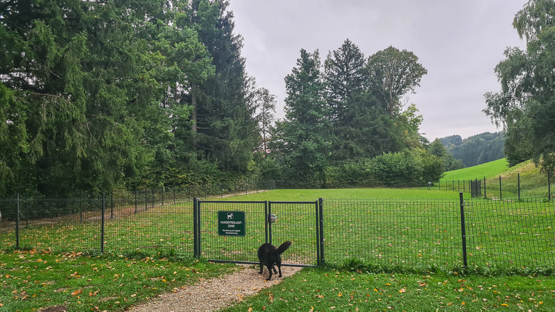 hundezone camping mondseeland