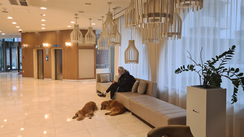 hotel sava mit zwei hundne in der lobby Rogaška Slatina