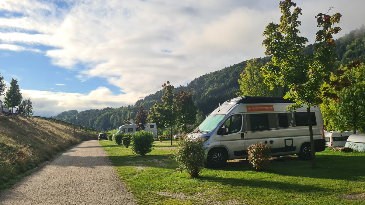 Camping MondSeeLand mit Hund  Dogfriendly und naturnah