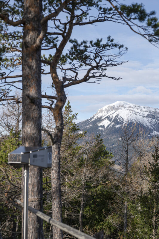 Blickplatz Wiener Alpen