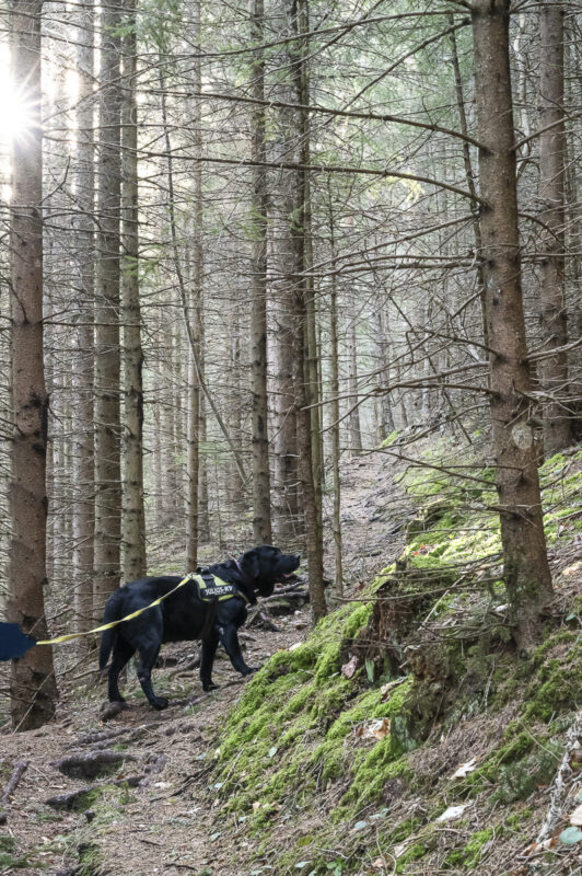 wandern mit hund zur luckerten wand