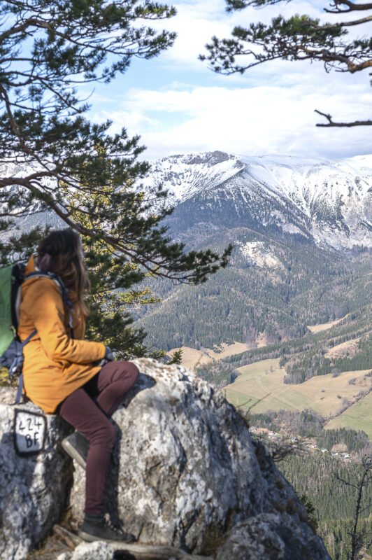 Blickplatz wiener alpen luckerte wand wanderung mit hund