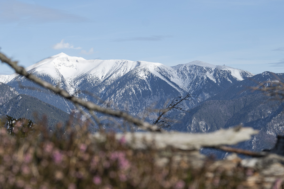 Ausblick schneeberg und Rax