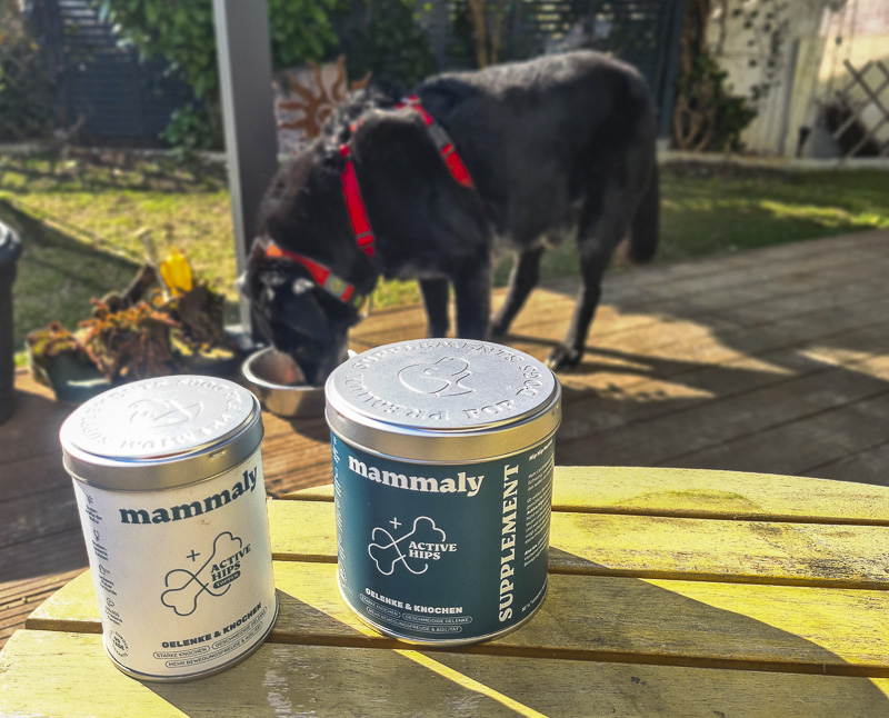 Hund Coffee testet Dog Supplements von Mammaly
