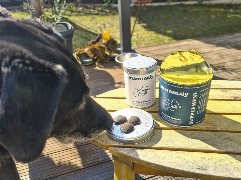 leckerli mammaly happy hips