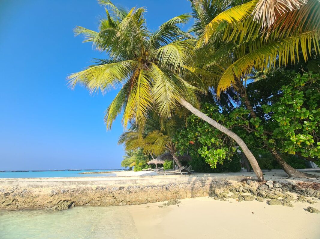 wiederunterwegs malediven