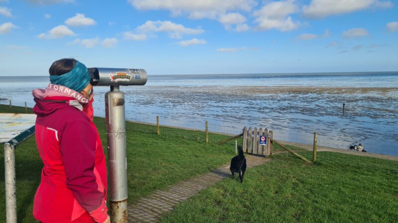 wattenmeer lauwersmeer