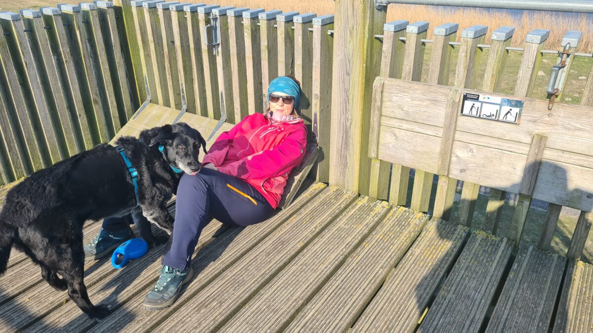 aussichtsturm lauwersmeer