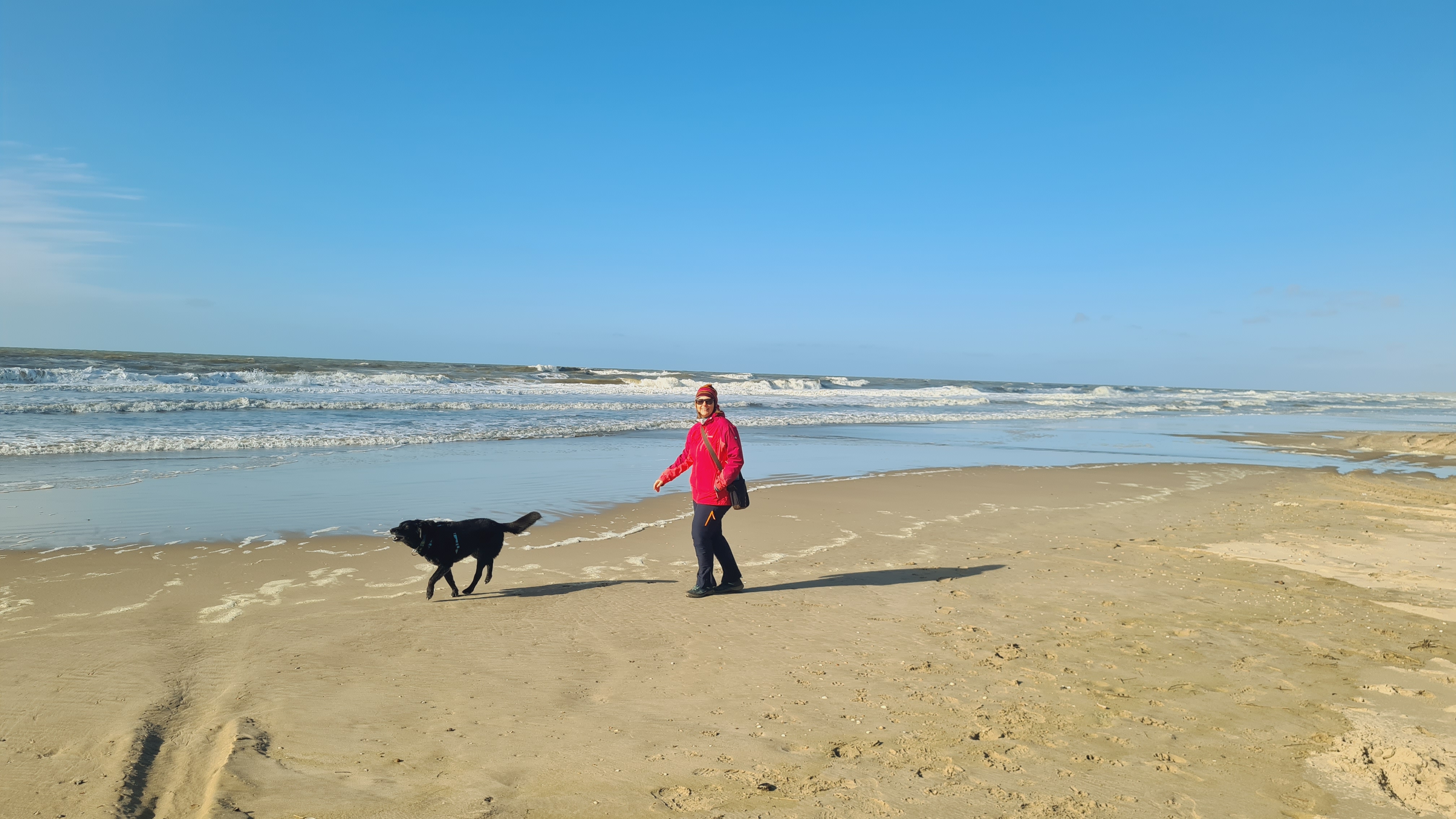 petten an zee mit hund