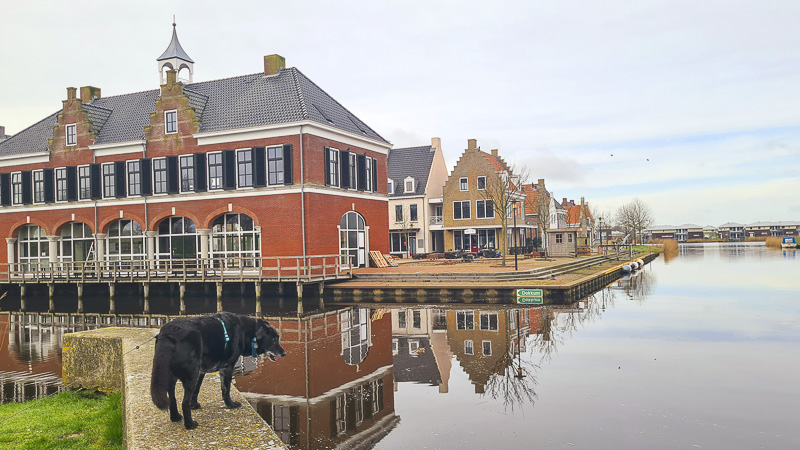 mit hund im waterpark landal esonstad urlaub machen