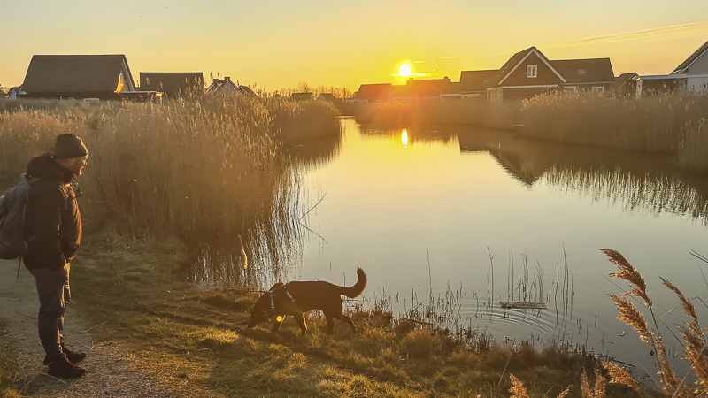 feriendorf landal ouddorp mit hund holland