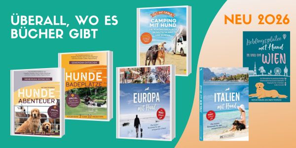 alle bücher neu 2026