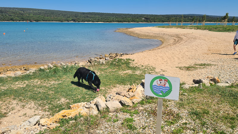 hundestrand campingplatz kroatien lopari im april 