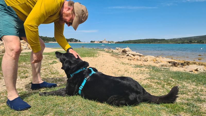 dogbeach kroatien lopari camping