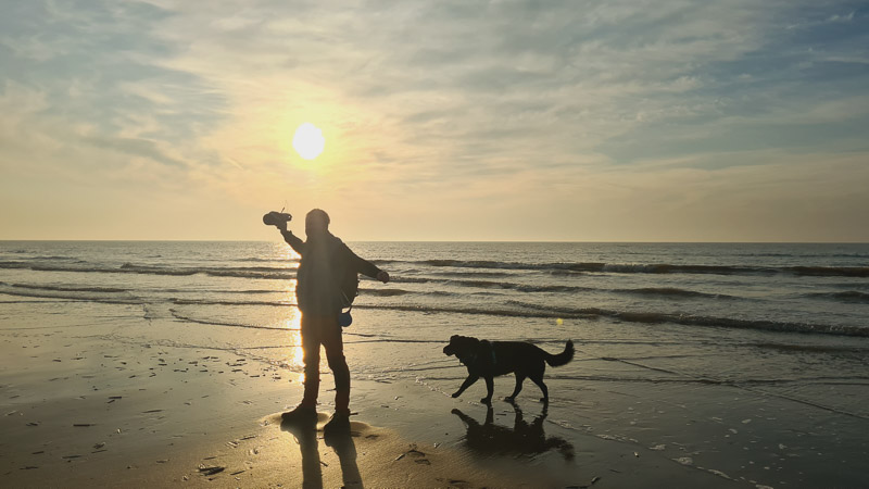 noordwijk mit hund, ich liebe die niederlande