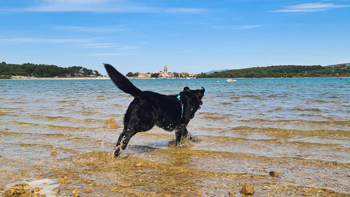 Hundestrand Kroatien Lopari Camping