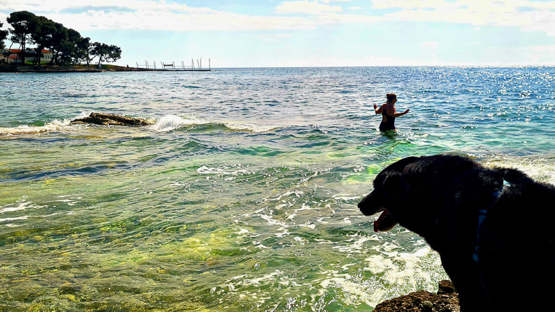 mit hund am strand im april savudrija leuchtturm camping