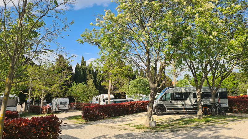  savudrija lighthouse camping
