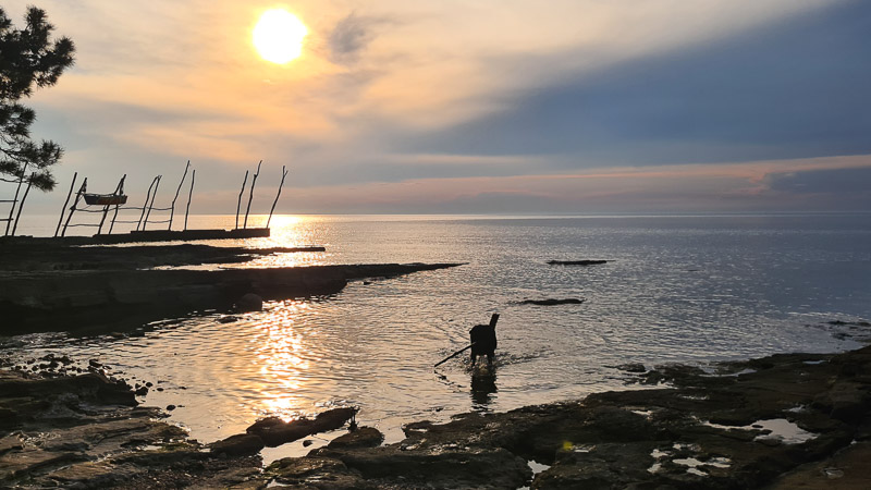 abends mit hund bucht savudrija