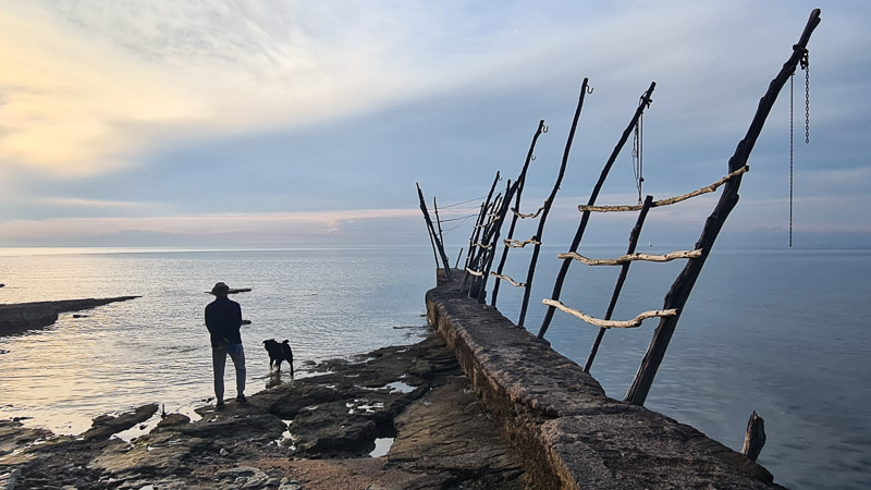 beim leuchtturm camping savudrija mit hund