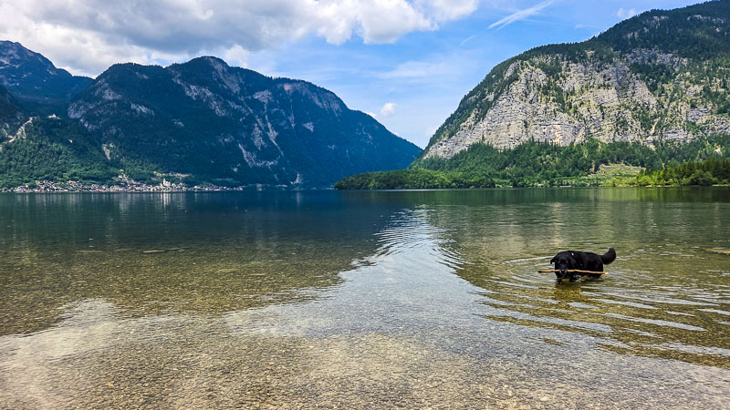 hundestrand hallstättersee