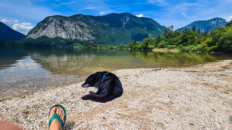 Hundebadestrand Winkl. Hallstättersee