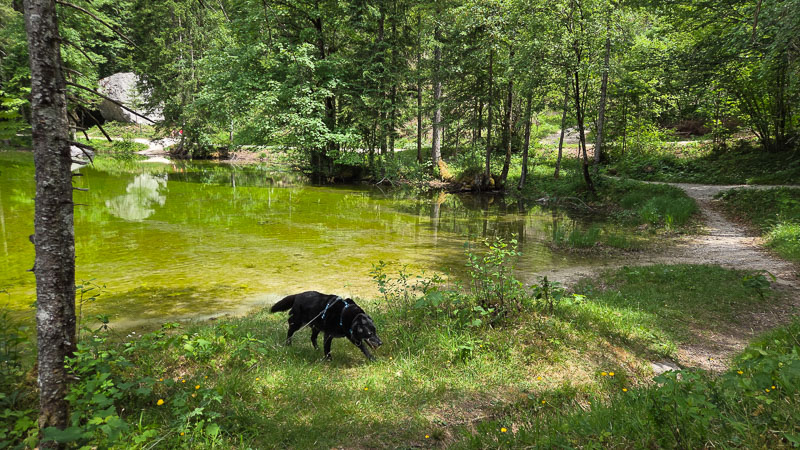 Koppenwinkelsee Wanderung