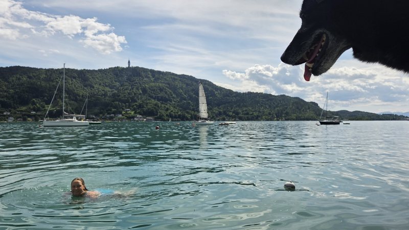 hund am strand wörthersee das jo seehotel
