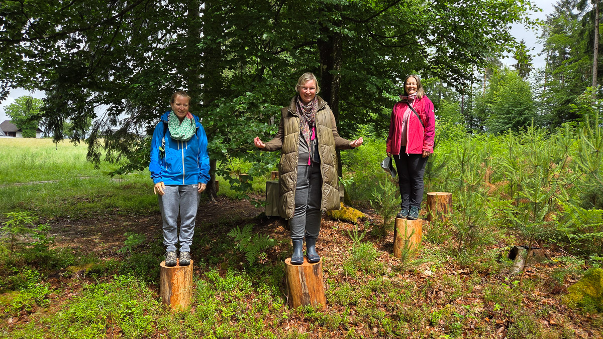 So geht WaldAuszeit am Wörthersee