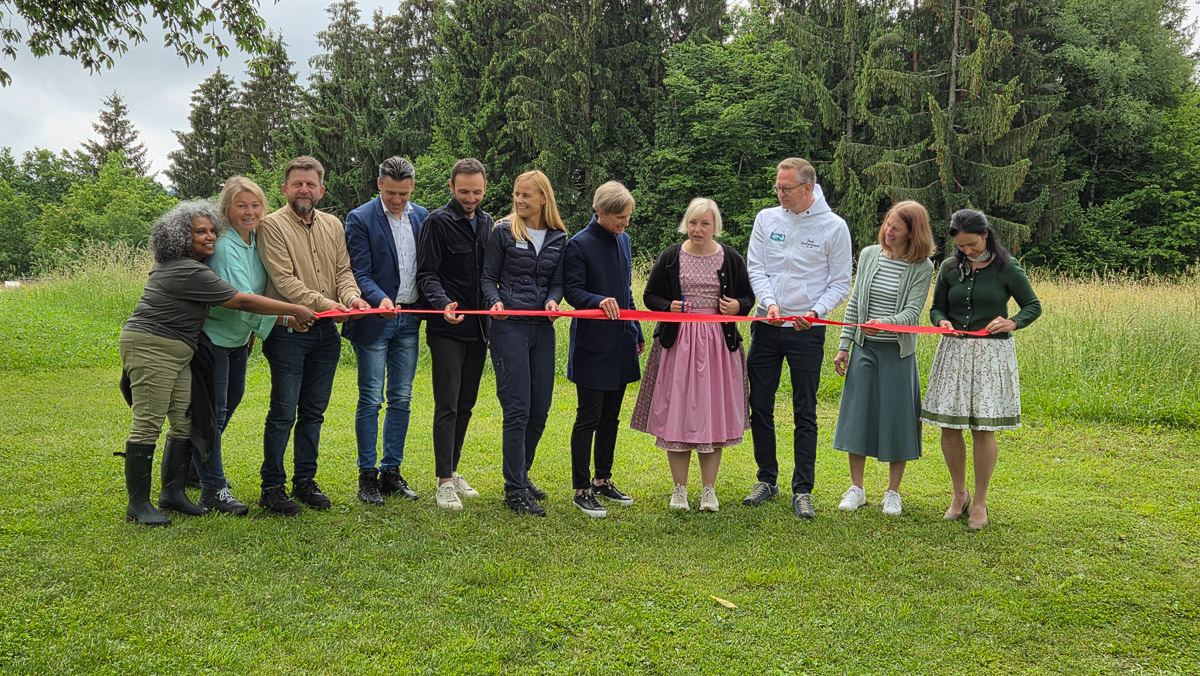 eröffnung waldauszeit
