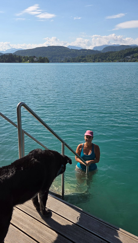 mit hund im wörthersee
