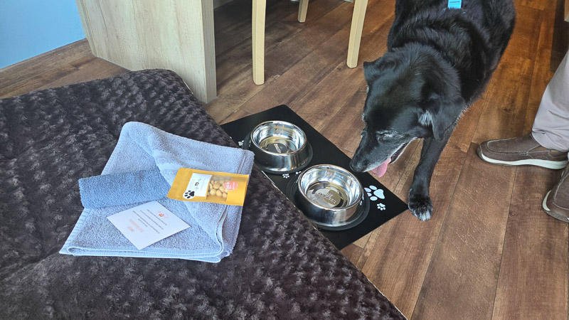 Hundebett, Näpfe, Handtücher für HOtel mit Hund im JO Wörthersee