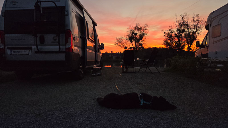 camping abends baumgartner schärding mit hund