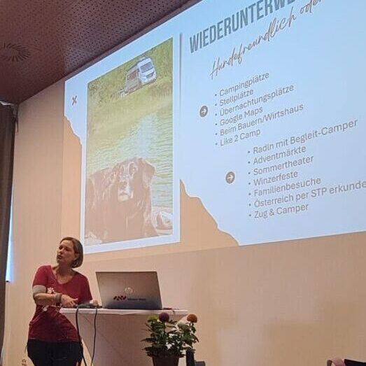 Angelika Mandler-Saul Camping mit Hund auf der Caravan Wels