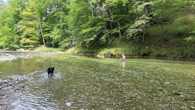 Flussbaden mit Hund schwarza höllental