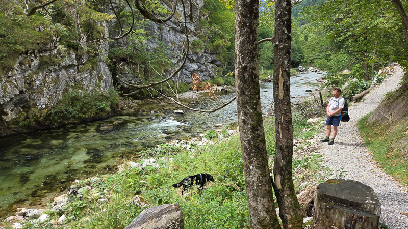 wanderweg mit hund am fluss schwarza höllental