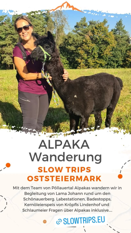 alpakawanderung pöllau