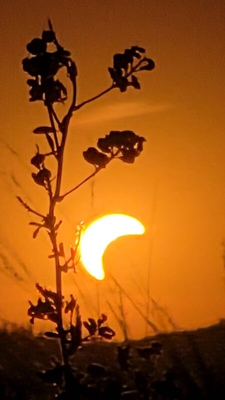 sonnenfinsternis weinviertel