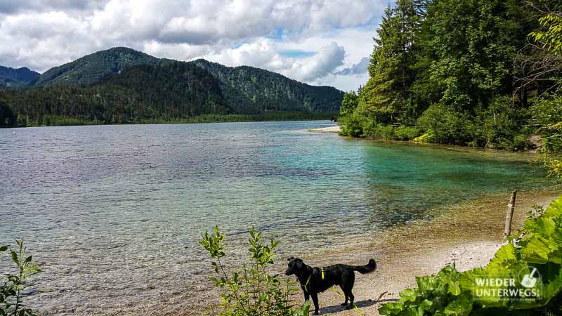 Urlaub mit Hund Packliste Almsee