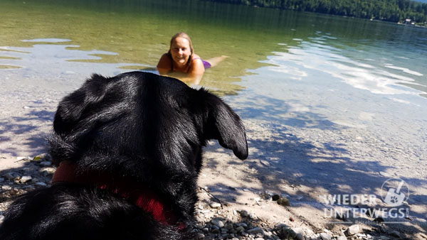 Altausseer See Hund Web (41 Von 44)