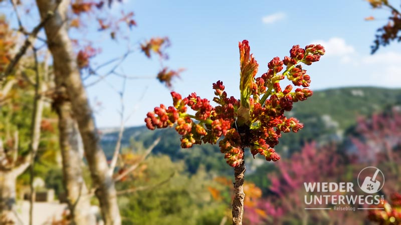 Arosa Luna Rhone April2017 Web 140