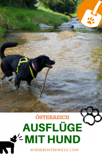 Ausflüge mit Hund in Österreich - Wiederunterwegs Reiseblog Urlaub mit Hund